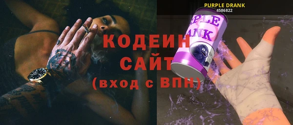 спиды Вяземский