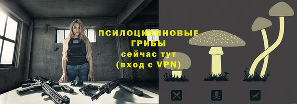 спиды Вяземский