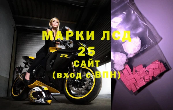 прущий лед Бикин