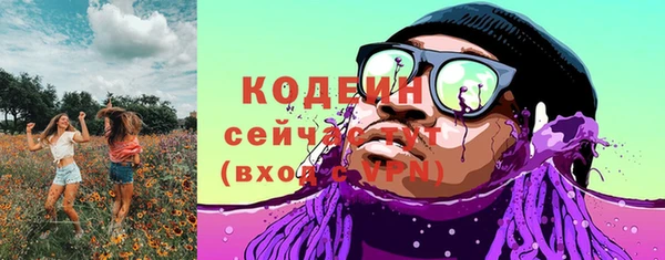 спиды Вяземский