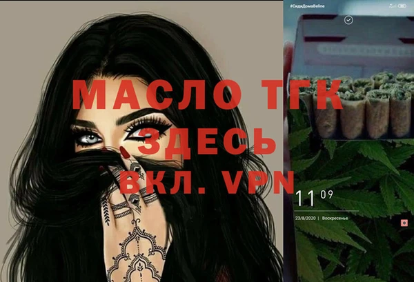 спиды Вяземский