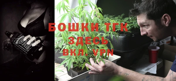 спиды Вяземский