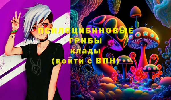 трава Билибино